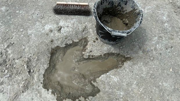 Dinosaur footprint in dirt with bucket