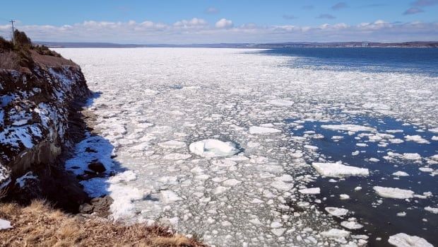 A view of a harbour from a cliff showing blue sky and blue water in the distance with broken up chunks of white ice in the foreground.