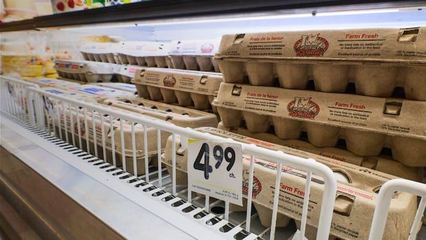 Close up shot of brown egg carton in Montreal grocery store priced at $4.99.