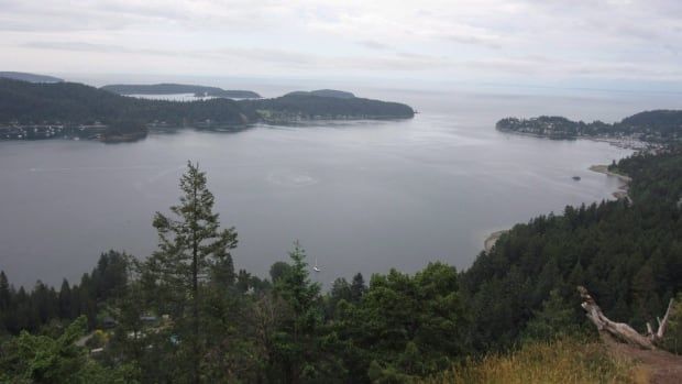 View from a hillside of a sheltered bay with open ocean beyond.