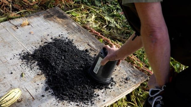 A picture of someone dumping out a bucket of biochar.