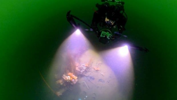 Scuba diver with lights