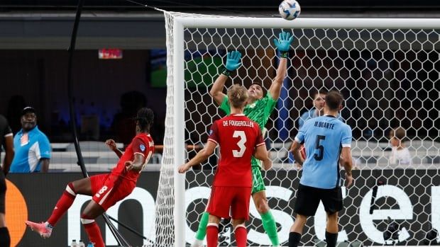 A men's soccer player kicks a ball over the goalkeeper's outstretched arm.