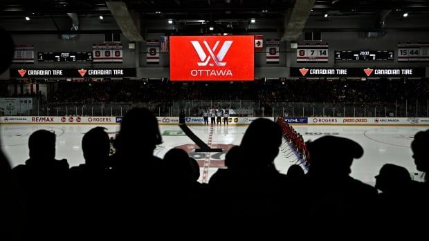 Fans watch pre-game ceremonies before a hockey game.