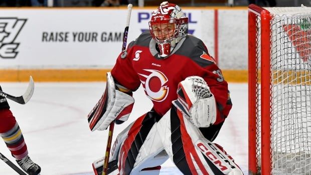 A female ice hockey goaltender guards her net during a game.