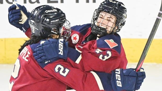 Two hockey players celebrate a goal.