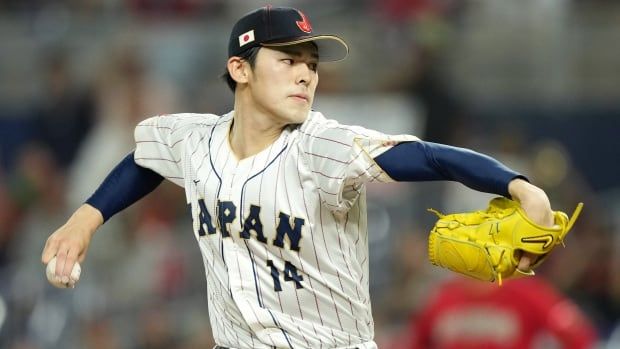 A male pitcher is seen throwing a ball mid-game.