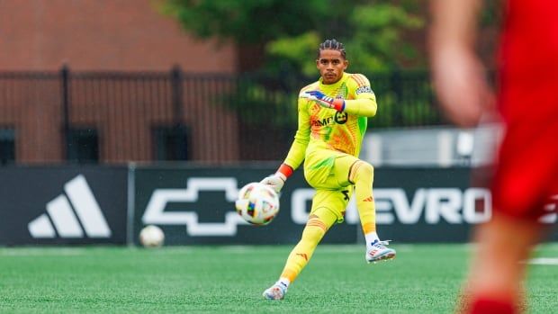 A male soccer keeper throws the ball.