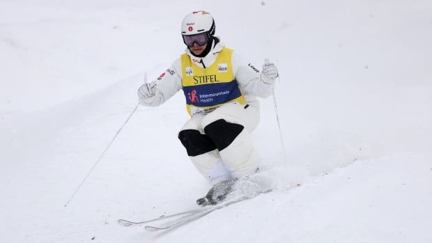 A male freestyle skier speeds down a dual moguls course.