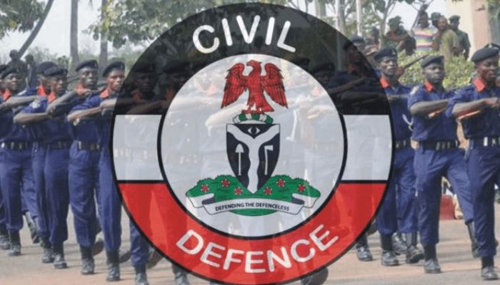 NSCDC parades suspect over vandalization of cables in Taraba