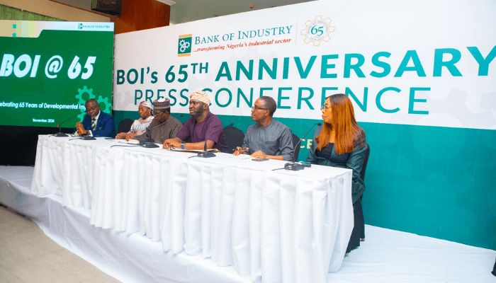 BOI raises over $5bn from international capital markets in 7 years