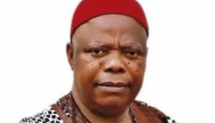 Failed institutions, overbearing influence of leaders responsible for Nigeria’s setback – Umeadi