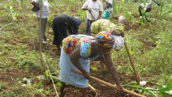 women-farmers