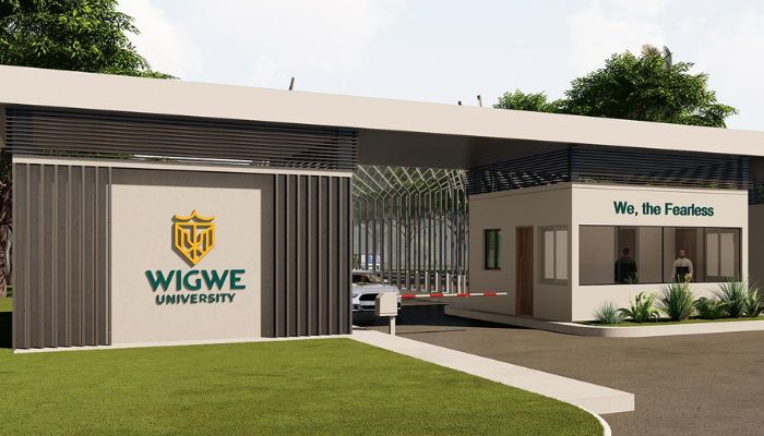 Wigwe University restates commitment to excellence, innovation