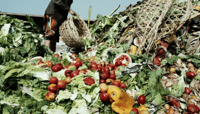 Food waste to wealth: Key into it