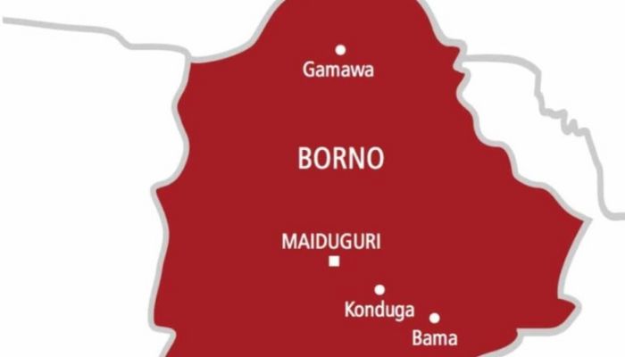 Borno: Prospect of development, growth and prosperity