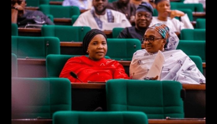 Breaking barriers: Three female lawmakers shaping Nigeria’s political landscape