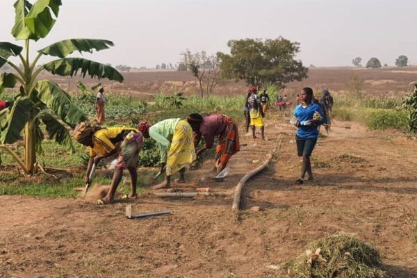 Farmers used to illustrate the story