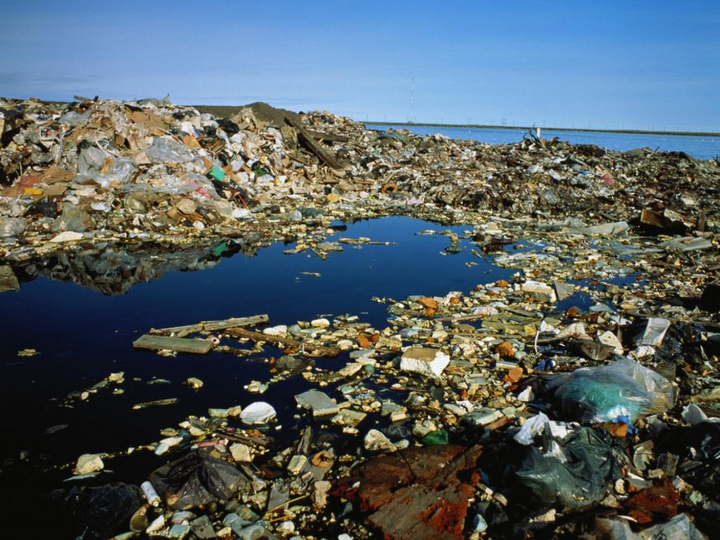 Plastics in the Ocean