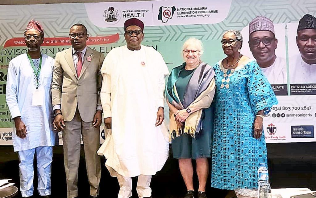 Nigeria loses over $1.1 billion to malaria annually - Health minister