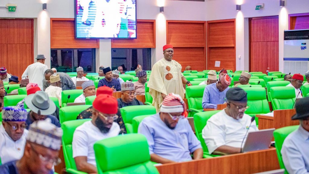 House of Reps members during a plenary session. [PHOTO CREDIT: Official X handle of House of Reps | https://twitter.com/HouseNGR/status/1730687799525855553/photo/1]