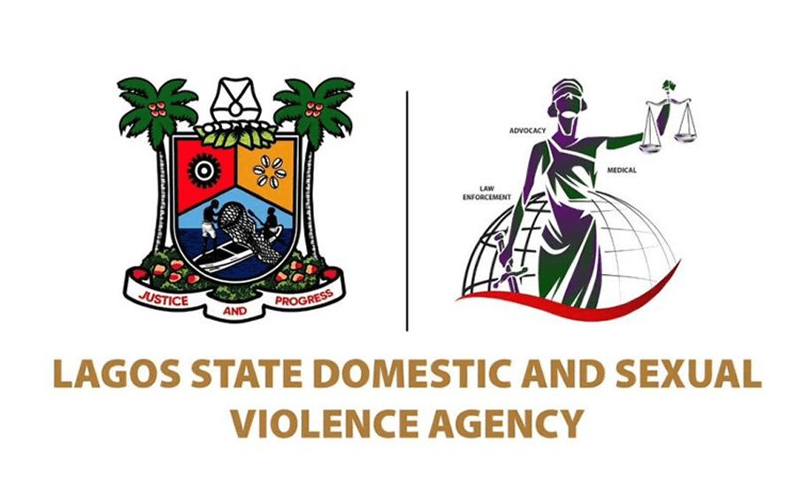 Lagos State Domestic and Sexual Violence Agency (DSVA)