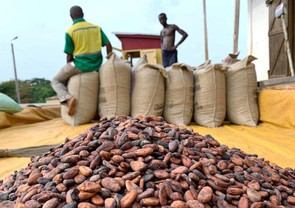 Cocoa beans are pictured next to a warehouse in the village of Atroni, near Sunyani, Ghana, April 11, 2019. REUTERS/Ange Aboa