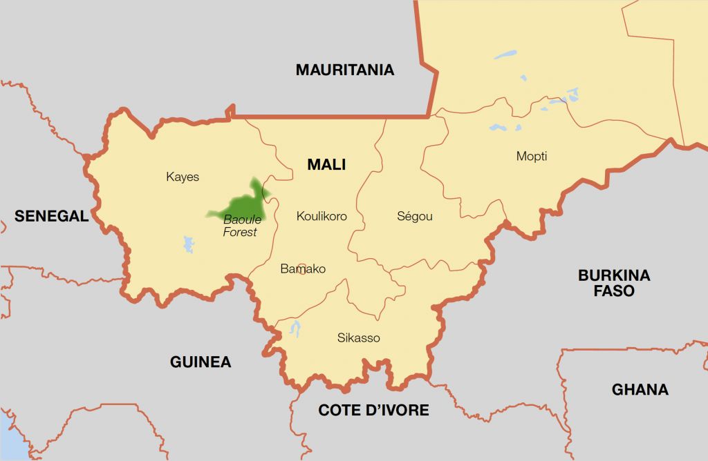 Chart 1: Map of Mali indicating Koulikoro and Kayes regions