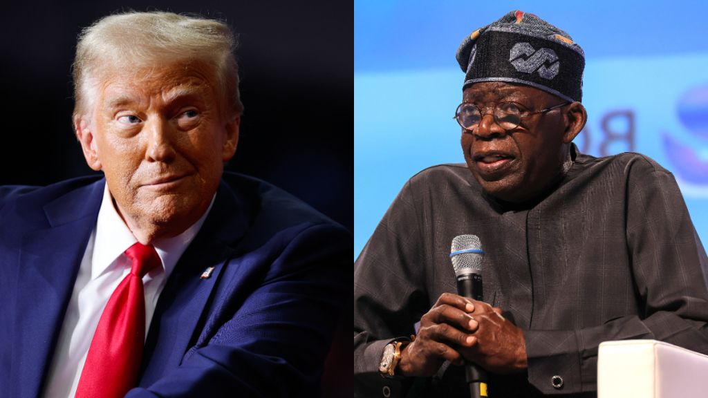 L-R: US President-elect, Donald Trump and Nigeria's President Bola Tinubu. [Getty Images]