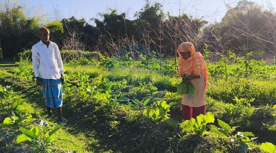 Afsana found a sense of purpose in her familys agricultural work.