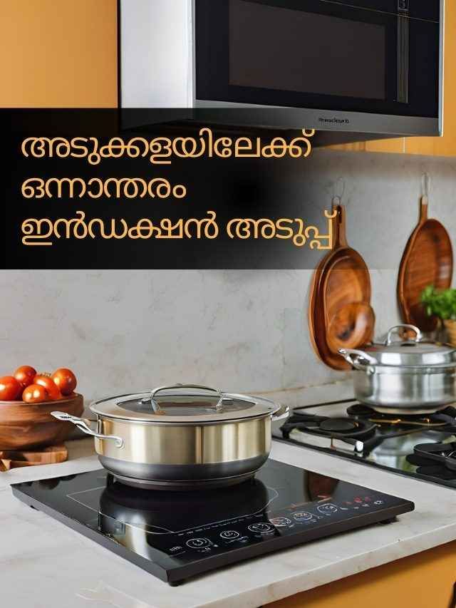 Amazon GIF Sale: ബ്രാൻഡഡ് Induction Stove 3000 രൂപയ്ക്ക് താഴെ!