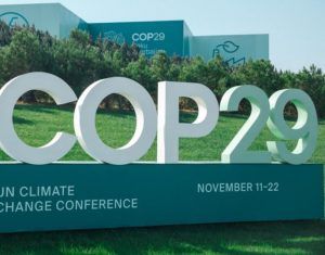 COP29