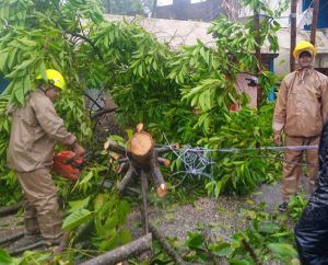 Cyclone Dana Odisha