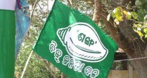 bjd flag